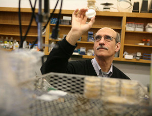 【精简优化版】无广告的短信网页在线轰炸